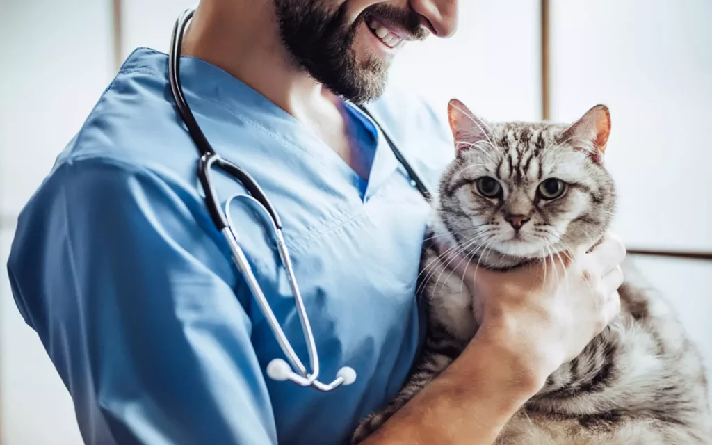 🦠 9 علامات تشير إلى أن قطتك تحتاج لرؤية طبيب